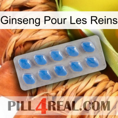Ginseng For Kidney 22